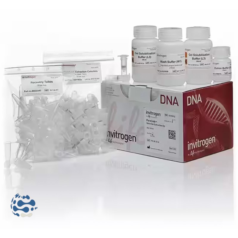 Invitrogen™ Kit Dextraction Rapide Sur Gel Purelink™ 250 Préparations 